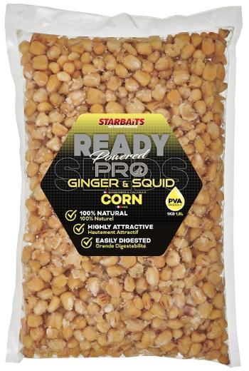 Starbaits kukuřice ready seeds pro ginger squid - 1 kg