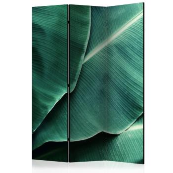 Paraván Banana Leaf Dekorhome 135x172 cm (3-dílný)