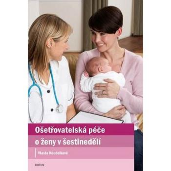 Ošetřovatelská péče o ženy v šestinedělí (978-80-7387-624-1)