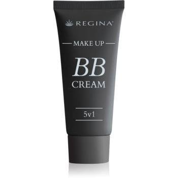 Regina Professional Care BB krém 5 v 1 odstín 01 Light 40 g