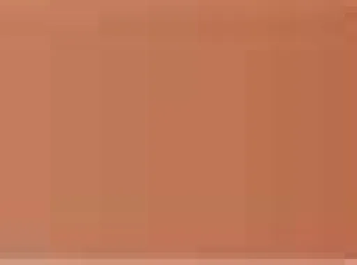 Pastel Caran d'Ache Neocolor II 069 Burnt sienna