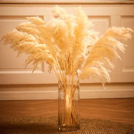 5 listů pampové trávy