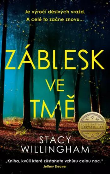 Záblesk ve tmě - Stacy Willingham