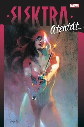 Elektra - Atentát - Frank Miller, Bill Sienkiewicz