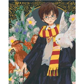 Zuty - Malování podle čísel - HARRY POTTER, HEDVIKA A FÉNIX FAWKES, 40x50 cm, vypnuté plátno na rám (HRAmmb00113nad)