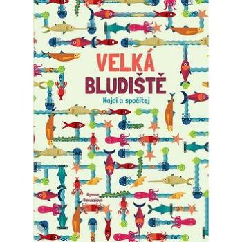 Velká bludiště: Najdi a spočítej (978-80-7529-408-1)