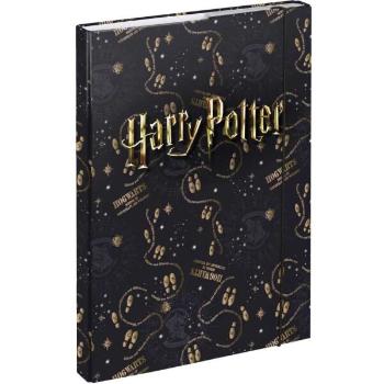 BAAGL HARRY POTTER POBERTŮV PLÁNEK Desky na školní sešity A4, černá, velikost