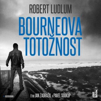 Bourneova totožnost - Robert Ludlum - audiokniha