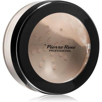 Pierre René Professional Natural Glow rozjasňující sypký pudr odstín Natural 10 g