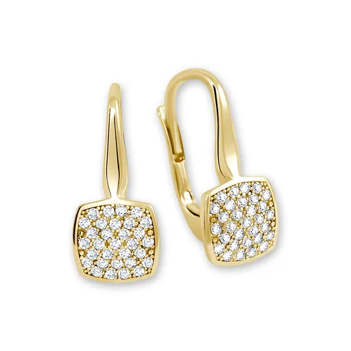 Soliter Nadčasové zlaté visací náušnice 239 001 00681