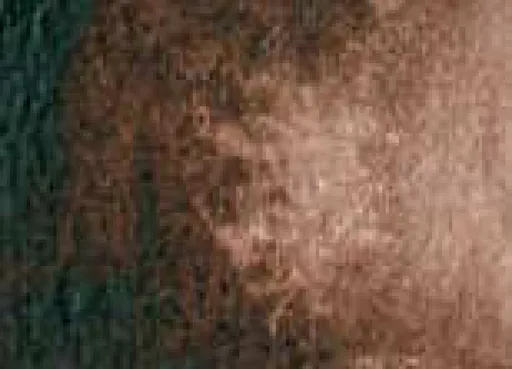 Akvarelová barva DS 15ml – 011 Burnt Umber