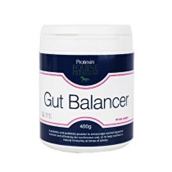 Protexin Gut Balancer pre kone 400g