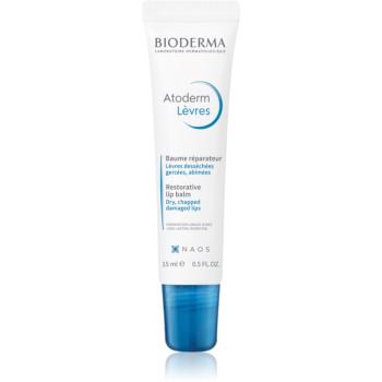 Bioderma Atoderm Lip Balm obnovujúci balzám na suché pery 15 ml