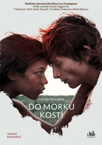 Do morku kostí - Camille DeAngelisová