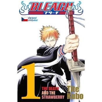 Bleach 1 (978-80-7449-124-5)