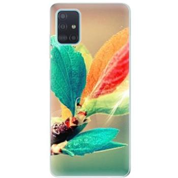 iSaprio Autumn pro Samsung Galaxy A51 (aut02-TPU3_A51)