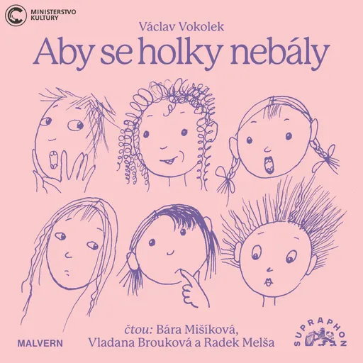 Aby se holky nebály - Václav Vokolek - audiokniha