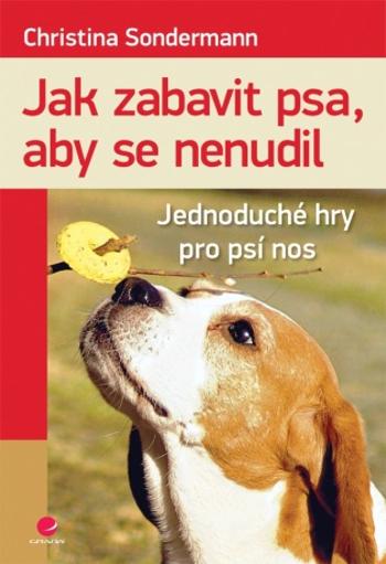 Jak zabavit psa, aby se nenudil - Christina Sondermann - e-kniha