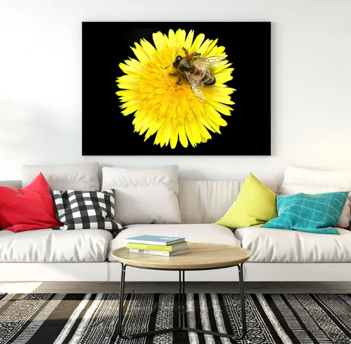 Obraz Včela na pampelišce (Rozměr obrazu: 120x80)
