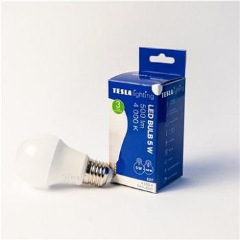 Tesla - LED žárovka BULB, E27, 5W, 230V, 500lm, 25 000h, 4000K denní bílá, 220st (BL270540-8)