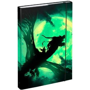 BAAGL DRAGON Füzettartó box  A4, fekete, méret