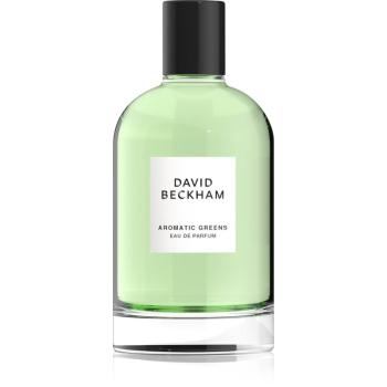 David Beckham Aromatic Greens parfémovaná voda pro muže 100 ml