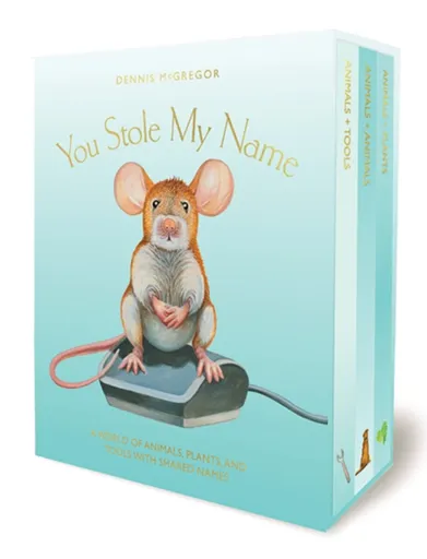 You Stole My Name Board Book Box Set - Dennis Mcgregor