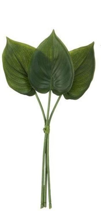 3 okrasné listy Philodendron I - 30cm 70153a