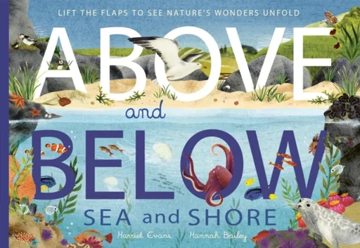 Above and Below: Sea and Shore - Harriet Evans, Bailey Hannah