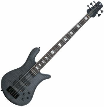 Spector EuroLX 5 Black Stain Matte 5-strunná baskytara