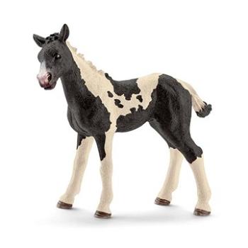 Schleich Hříbě Pinto 13803 (4059433322650)