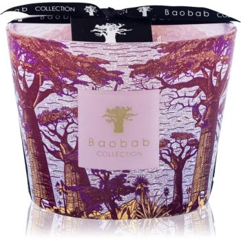 Baobab Collection Sacred Trees Massasso vonná svíčka 10 cm