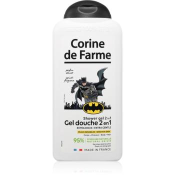 Corine de farme Shower Gel 2 in 1 Batman sprchový gel 2 v 1 300 ml