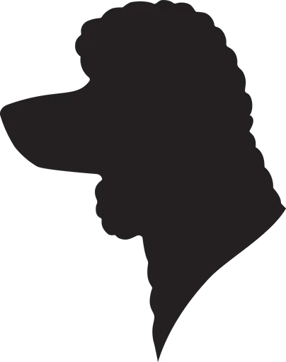 Vsepropejska Pudl 4 dřevěná dekorace na zeď Rozměr (cm): 38 x 30