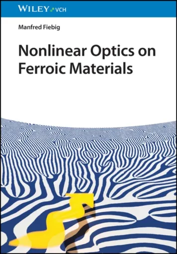 Nonlinear Optics on Ferroic Materials - Manfred  Fiebig