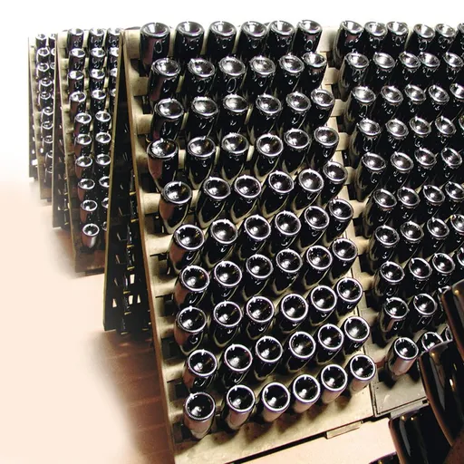 Prohlídka společnosti BOHEMIA SEKT bez degustace - elektronická poukázka