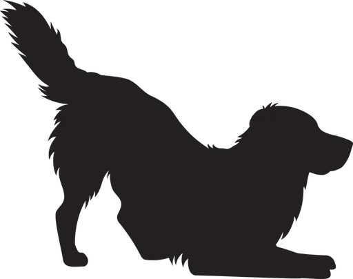 Vsepropejska Zlatý retrívr 3 dřevěná dekorace na zeď Rozměr (cm): 30 x 38