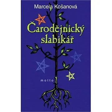 Čarodějnický slabikář (978-80-724-6462-3)
