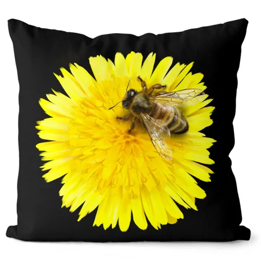 Polštář Včela na pampelišce (Velikost: 55 x 55 cm)