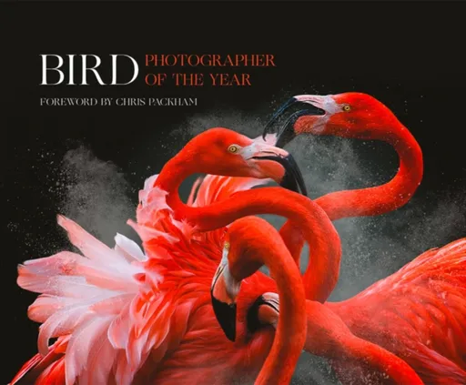 Bird Photographer of the Year - Bird Photographer of the Year