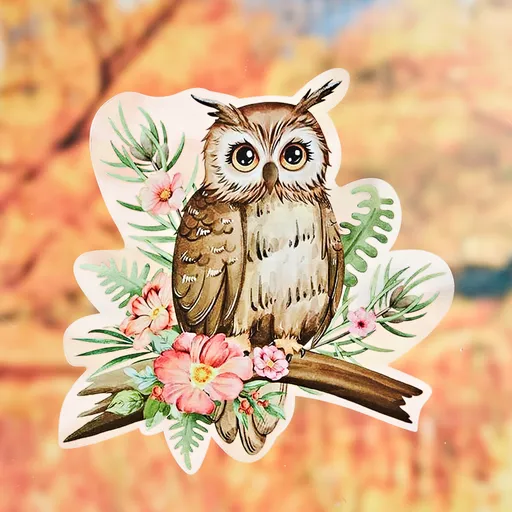 Obrázek na okno Sova