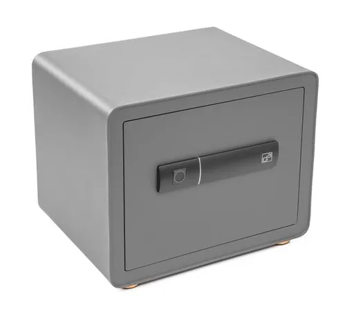 Trezor G21 na otisk prstu 380x310x300mm