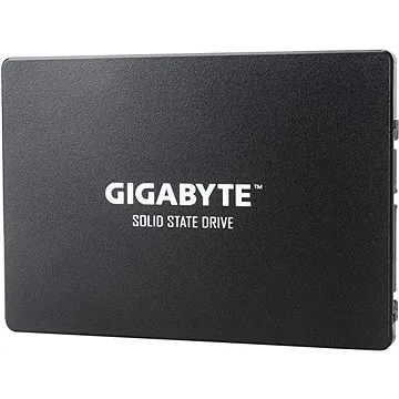 GIGABYTE 240GB SSD (GP-GSTFS31240GNTD)