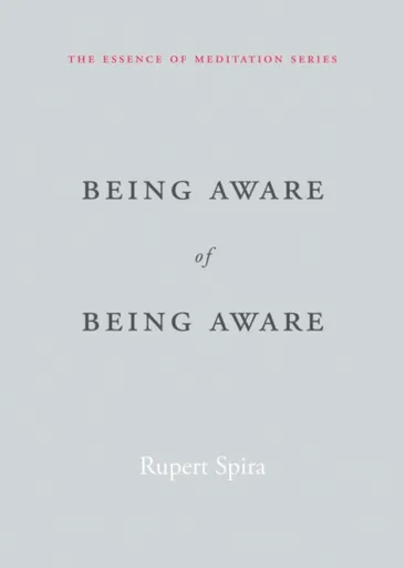 Being Aware of Being Aware - Rupert Spira