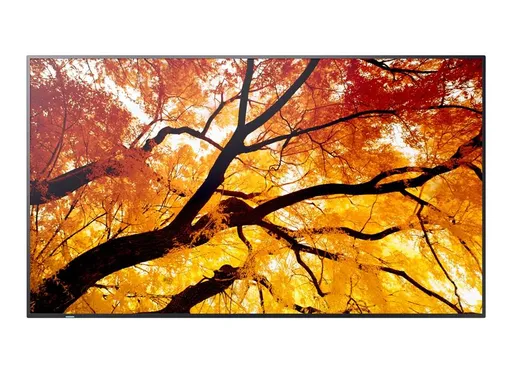 55" LED SHARP M552,3840x2160,IPS,24/7,500cd