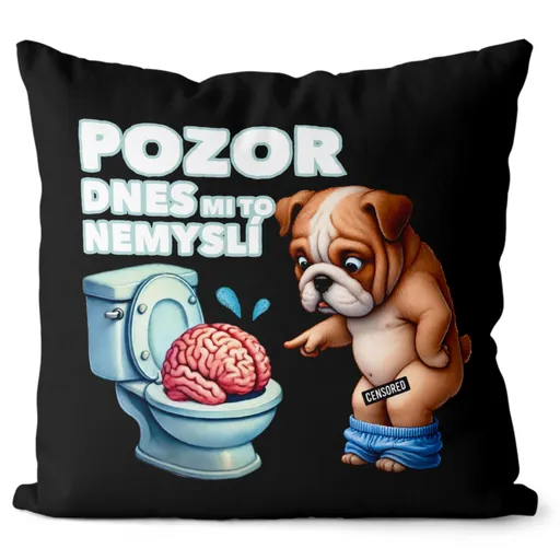 Polštář Dnes mi to nemyslí (Velikost: 40 x 40 cm)