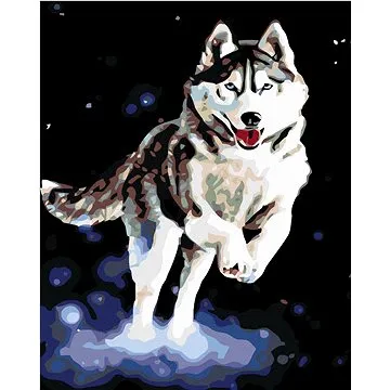 Diamondi - Diamantové malování - HUSKY, 40x50 cm, bez rámu a bez vypnutí plátna (603931A)