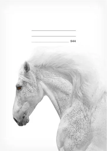 Školní sešit LUX A5 544 Kůň