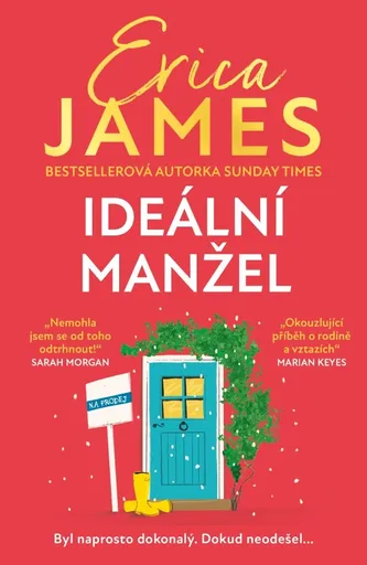 Erica Jamesová Ideální manžel Provedení: Tištěná kniha