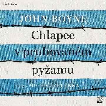 Chlapec v pruhovaném pyžamu ()